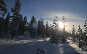 芬兰雪景桌面壁纸_3