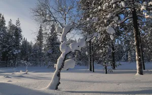 芬兰雪景桌面壁纸_5