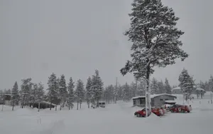 芬兰雪景桌面壁纸_16