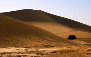 敦煌鸣沙山风景壁纸_7