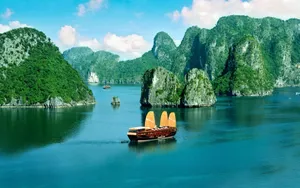 绿色着眼风景壁纸_13
