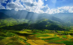 绿色着眼风景壁纸_15