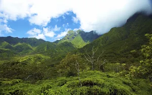 夏威夷群岛风景壁纸_5