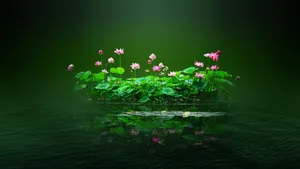 非常优美的景色壁纸_7