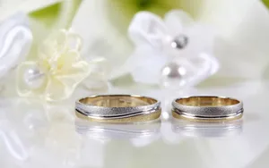 婚礼·婚戒 第二辑_1