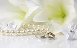 婚礼·婚戒 第二辑