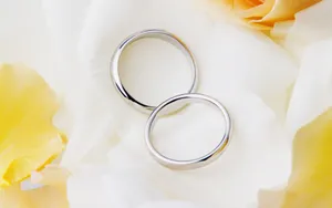 婚礼·婚戒 第二辑_3