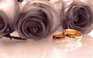 婚礼·婚戒 第二辑_10