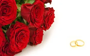 婚礼·婚戒 第二辑_15