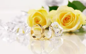 婚礼·婚戒 第二辑_18