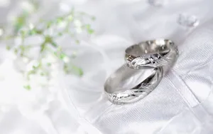 婚礼·婚戒 第一辑_1