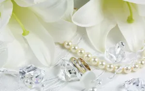婚礼·婚戒 第一辑