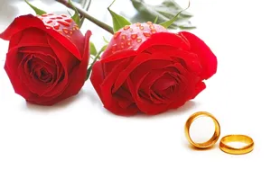 婚礼·婚戒 第一辑_8