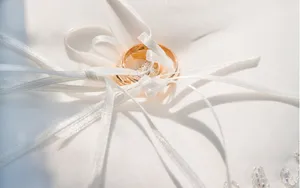 婚礼·婚戒 第一辑_11
