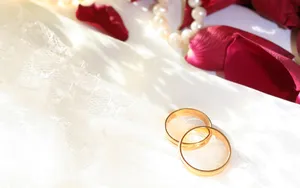 婚礼·婚戒 第一辑_14