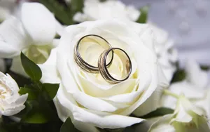 婚礼·婚戒 第一辑_18