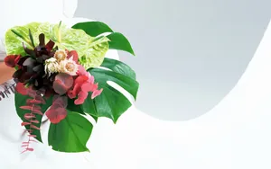 婚礼·鲜花 第二辑_11