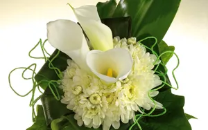婚礼·鲜花 第二辑_14
