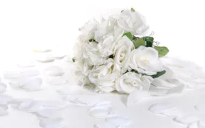 婚礼·鲜花 第二辑_18