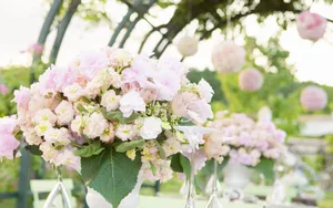 婚礼·鲜花 第一辑