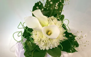 婚礼·鲜花 第一辑_11