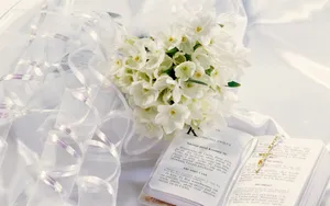 婚礼·鲜花 第一辑_15