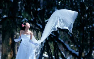 婚纱样片 第三辑_4