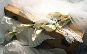 婚庆鲜花物品 第二辑_9