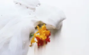 婚庆鲜花物品 第一辑_8