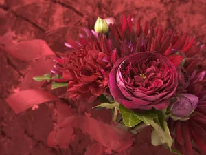 婚礼鲜花 第四辑_15