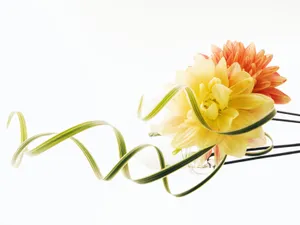 婚礼鲜花 第三辑_16