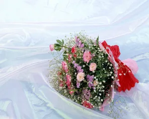 婚庆物品 第五辑_2