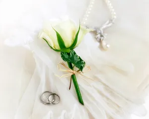 婚庆物品 第五辑_5