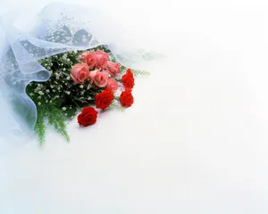 婚庆物品 第五辑_18