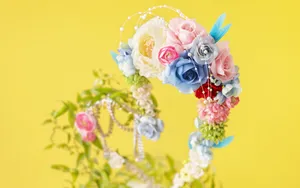 超大花卉礼品 第二辑_12