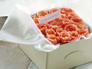 鲜花与礼物 第一辑_11