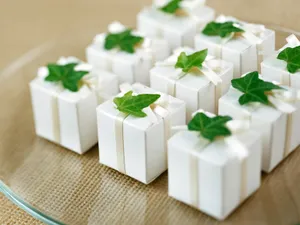 礼物包装 第二辑_5