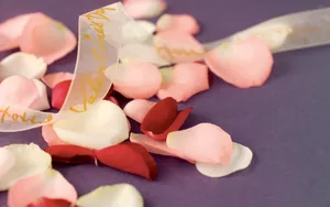 节日写真 第二辑第1张