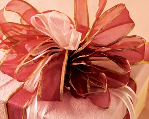 节日写真 第一辑第1张