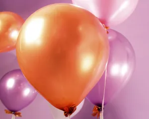 节日写真 第一辑_7