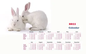 2011兔年日历 第一辑_3
