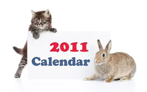 2011兔年日历 第一辑_7