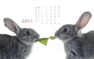 2011兔年日历 第一辑_11