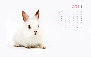2011兔年日历 第一辑_16