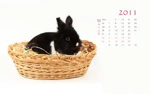 2011兔年日历 第一辑_17