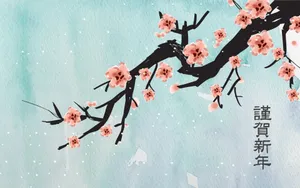新年特辑 第二辑第1张