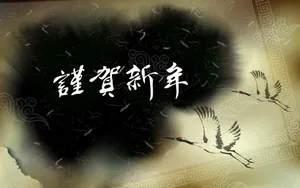 新年特辑 第一辑_16