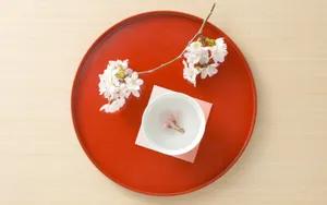 日本新年文化 第一辑_11