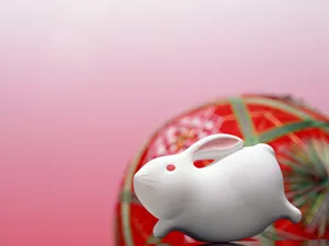 12生肖普屏 第二辑_8
