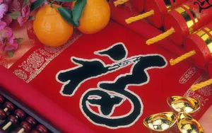宽屏春节特辑 第四辑